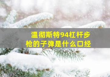 温彻斯特94杠杆步枪的子弹是什么口经