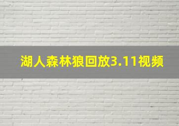 湖人森林狼回放3.11视频