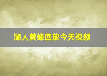 湖人黄蜂回放今天视频