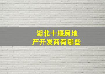 湖北十堰房地产开发商有哪些