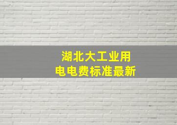 湖北大工业用电电费标准最新