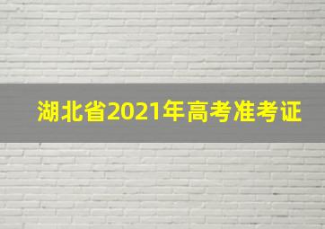 湖北省2021年高考准考证