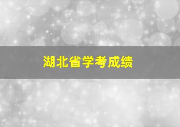 湖北省学考成绩