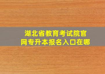 湖北省教育考试院官网专升本报名入口在哪