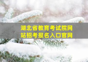 湖北省教育考试院网站招考报名入口官网