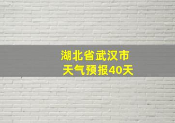 湖北省武汉市天气预报40天