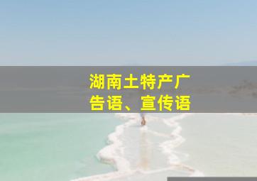 湖南土特产广告语、宣传语