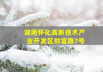 湖南怀化高新技术产业开发区财富路7号