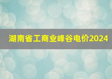 湖南省工商业峰谷电价2024