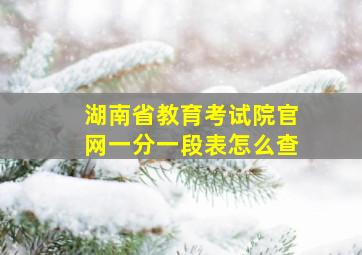 湖南省教育考试院官网一分一段表怎么查