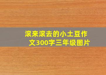 滚来滚去的小土豆作文300字三年级图片