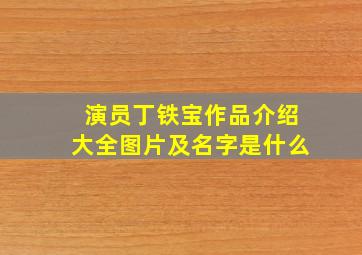 演员丁铁宝作品介绍大全图片及名字是什么