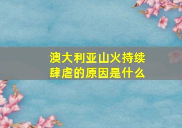 澳大利亚山火持续肆虐的原因是什么