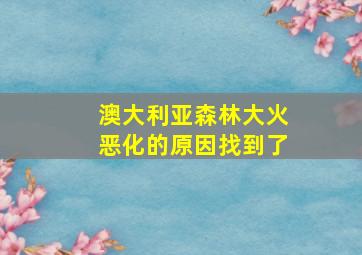 澳大利亚森林大火恶化的原因找到了