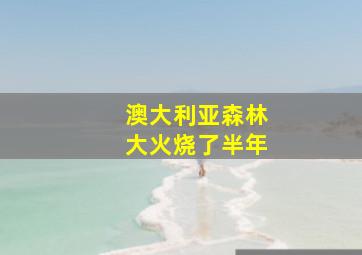 澳大利亚森林大火烧了半年