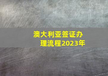 澳大利亚签证办理流程2023年