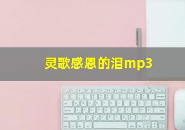 灵歌感恩的泪mp3