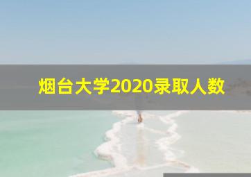 烟台大学2020录取人数