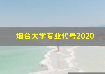 烟台大学专业代号2020