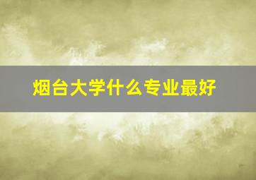 烟台大学什么专业最好