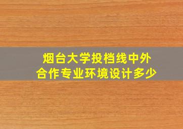 烟台大学投档线中外合作专业环境设计多少