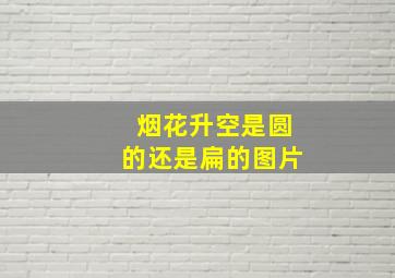 烟花升空是圆的还是扁的图片