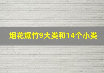 烟花爆竹9大类和14个小类