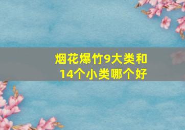 烟花爆竹9大类和14个小类哪个好