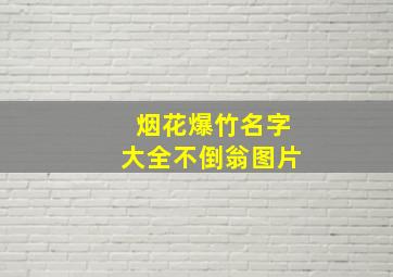 烟花爆竹名字大全不倒翁图片