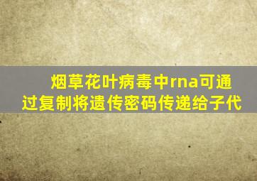 烟草花叶病毒中rna可通过复制将遗传密码传递给子代