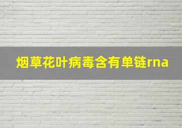 烟草花叶病毒含有单链rna