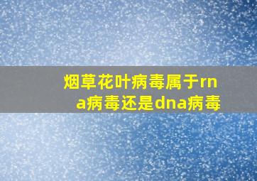 烟草花叶病毒属于rna病毒还是dna病毒