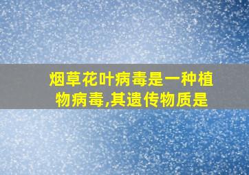 烟草花叶病毒是一种植物病毒,其遗传物质是