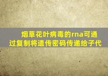 烟草花叶病毒的rna可通过复制将遗传密码传递给子代