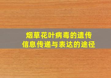 烟草花叶病毒的遗传信息传递与表达的途径