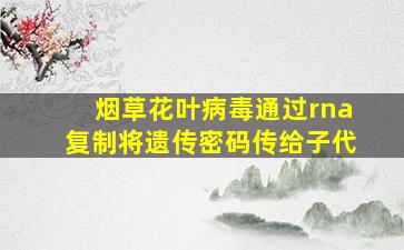 烟草花叶病毒通过rna复制将遗传密码传给子代