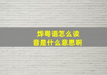 烨粤语怎么读音是什么意思啊