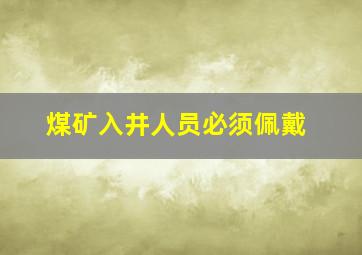 煤矿入井人员必须佩戴