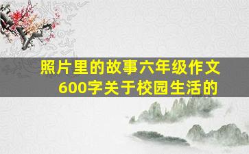 照片里的故事六年级作文600字关于校园生活的