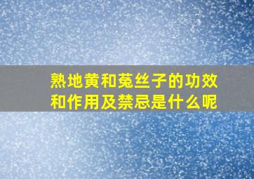 熟地黄和菟丝子的功效和作用及禁忌是什么呢