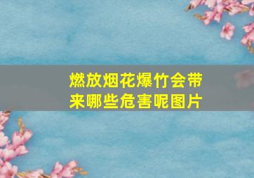 燃放烟花爆竹会带来哪些危害呢图片