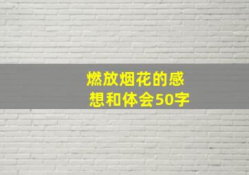 燃放烟花的感想和体会50字