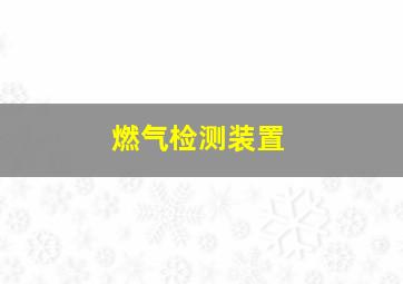 燃气检测装置