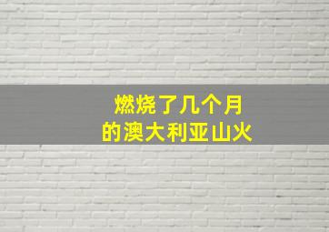 燃烧了几个月的澳大利亚山火