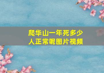 爬华山一年死多少人正常呢图片视频