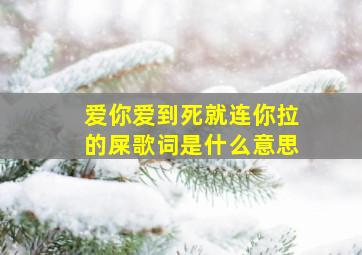 爱你爱到死就连你拉的屎歌词是什么意思