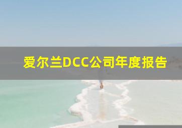 爱尔兰DCC公司年度报告