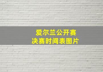 爱尔兰公开赛决赛时间表图片