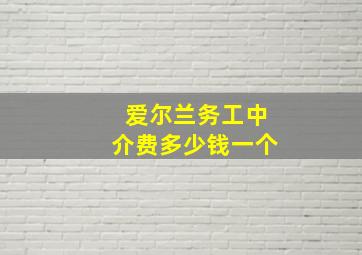 爱尔兰务工中介费多少钱一个