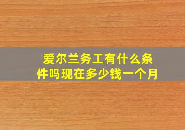 爱尔兰务工有什么条件吗现在多少钱一个月